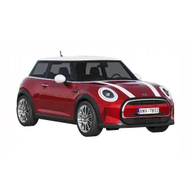 Mini Cooper door